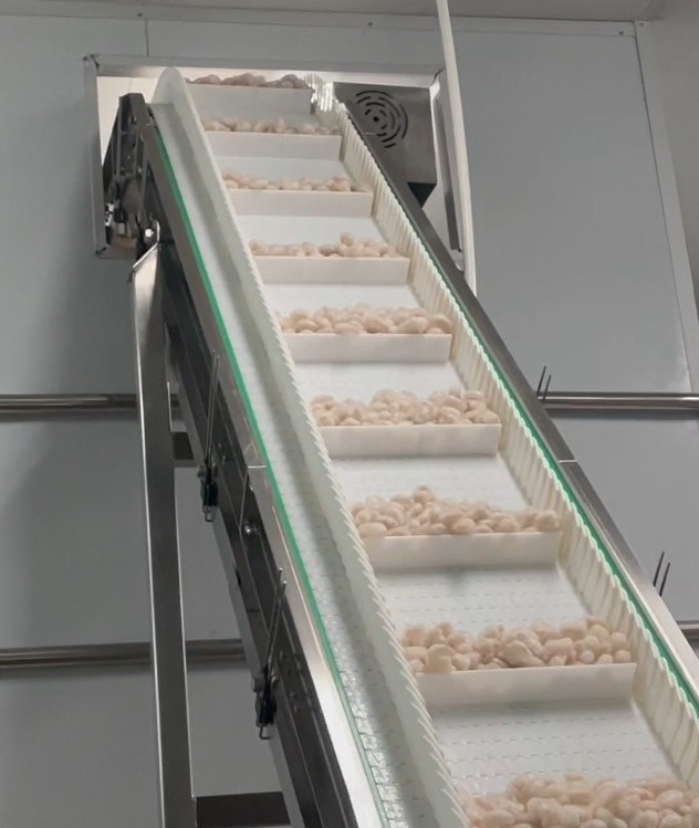 SS 304 Maszyna do pakowania wagowego Icy Shrimp Workshop System pakowania Docelowa waga 200g ~ 1500g
