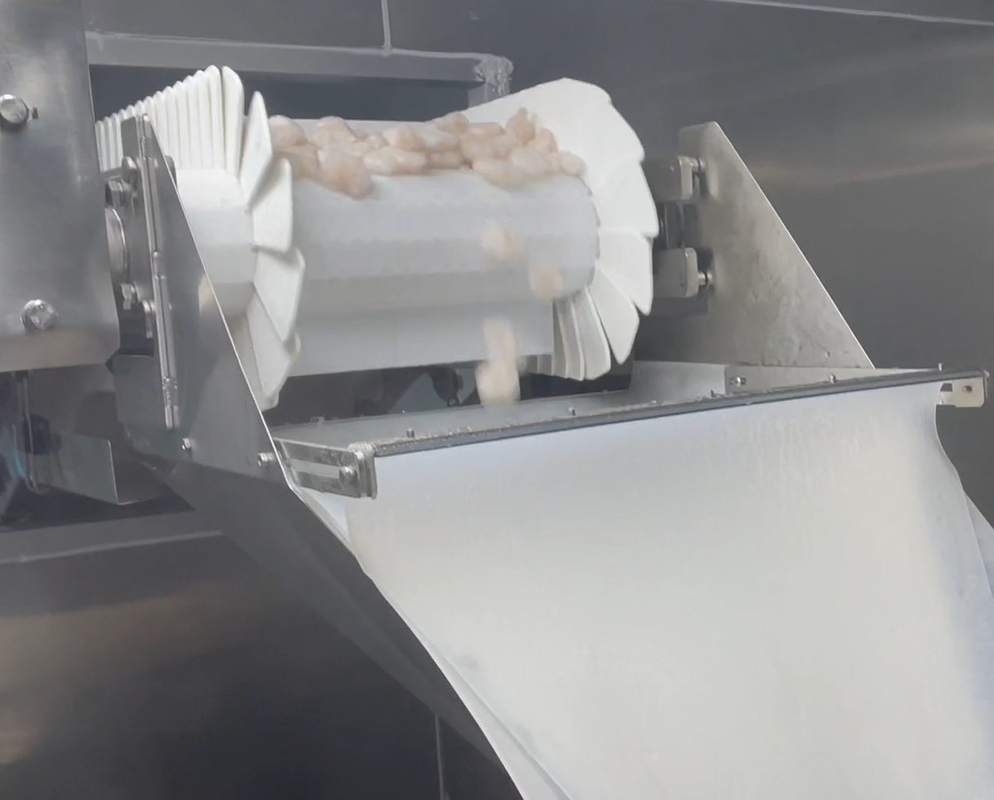 SS 304 Maszyna do pakowania wagowego Icy Shrimp Workshop System pakowania Docelowa waga 200g ~ 1500g