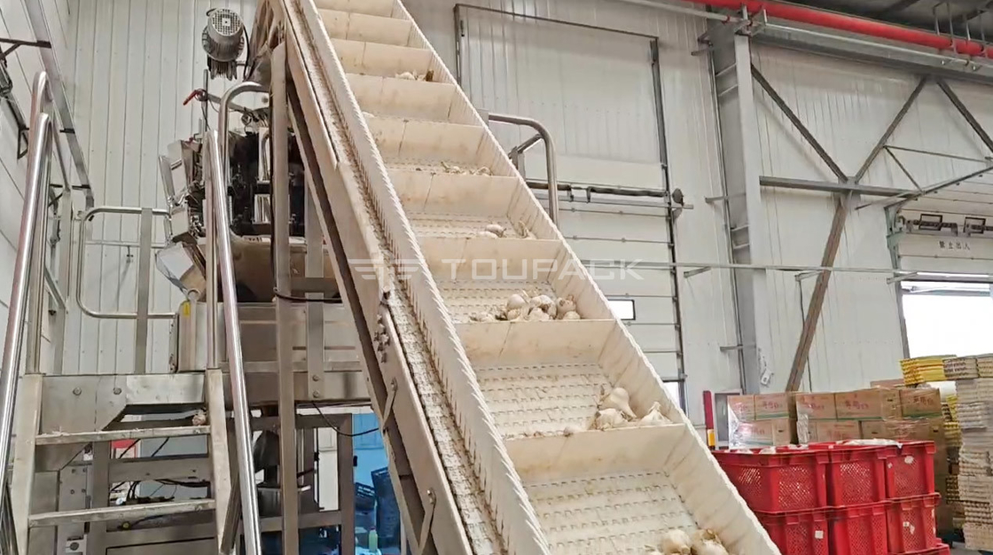 OEM Automatyczna maszyna do ważenia worek fasola kiełkowanie coriander ziemniak czosnek dziecko marchew maszyna do pakowania