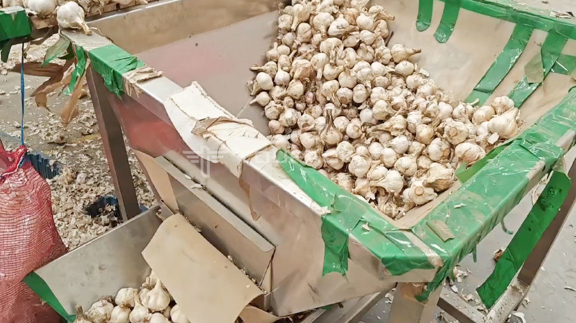 OEM Automatyczna maszyna do ważenia worek fasola kiełkowanie coriander ziemniak czosnek dziecko marchew maszyna do pakowania