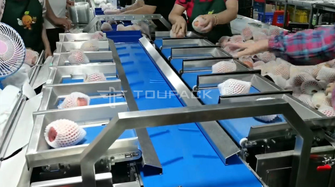 Maszyna do pakowania wałków poduszkowych, gruszka, jabłko, waga kombinacyjna, waga kombinacyjna do owoców, precyzyjna maszyna pakująca