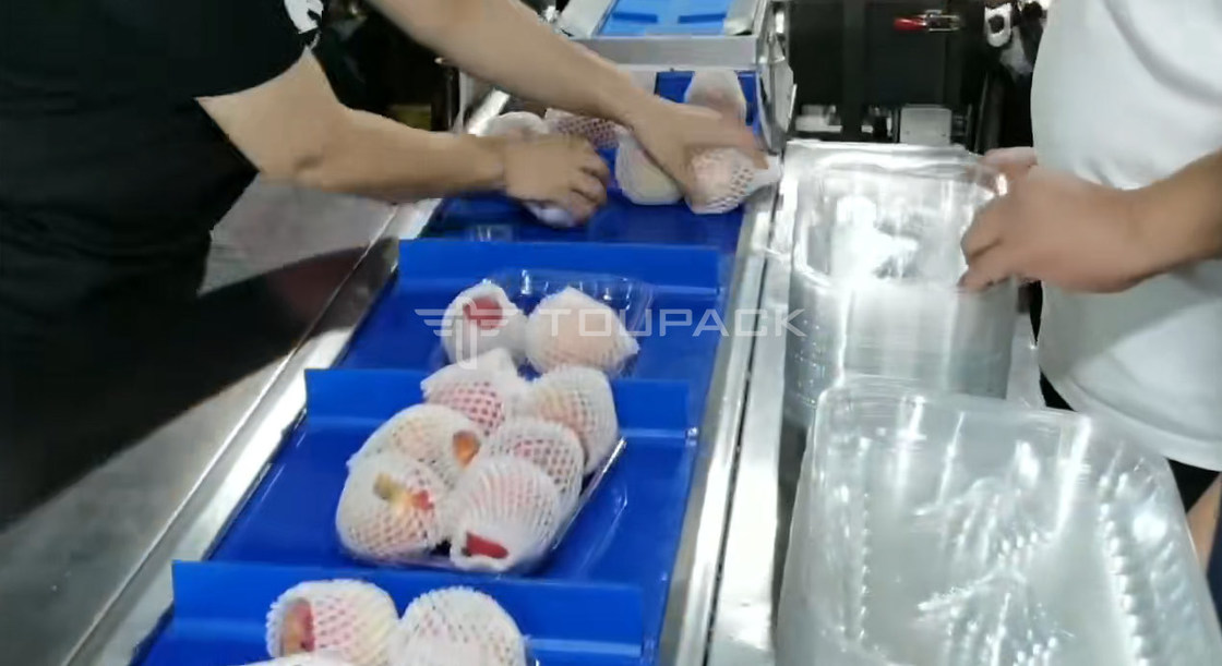 Maszyna do pakowania wałków poduszkowych, gruszka, jabłko, waga kombinacyjna, waga kombinacyjna do owoców, precyzyjna maszyna pakująca