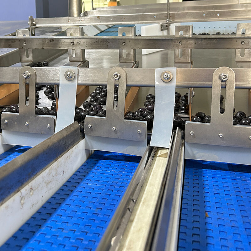 Auto Blueberry Frozen Vege Salad Vegetable Packing Machine Cherry Tomatoes Vegetable Weighing And Packing Machine