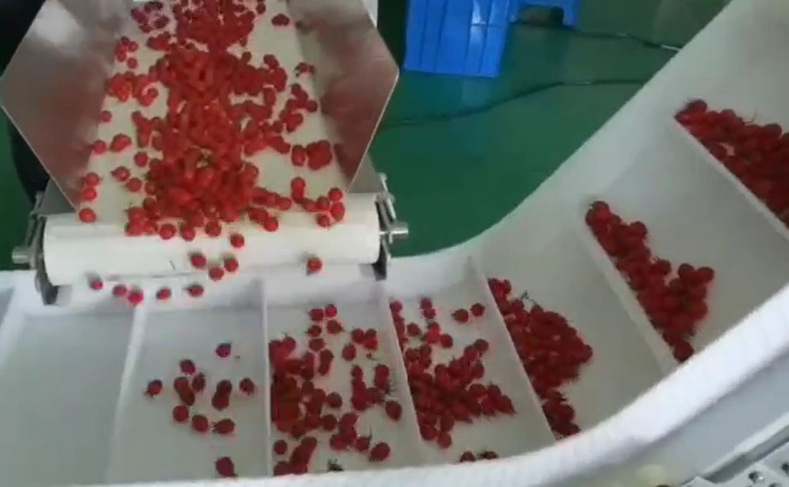 SUS304 Multihead Weigher Automatyczny system ważenia i pakowania do mrożonych owoców wiśni w pudełkach