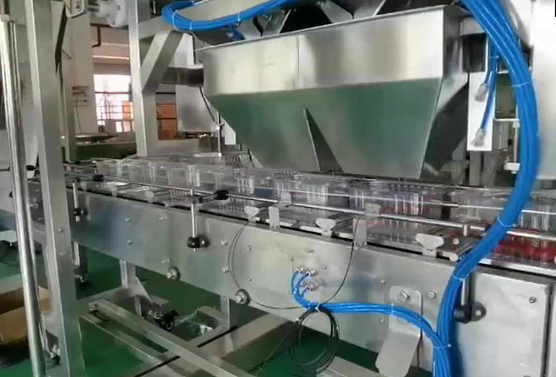 SUS304 Multihead Weigher Automatyczny system ważenia i pakowania do mrożonych owoców wiśni w pudełkach