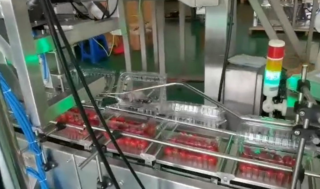 SUS304 Multihead Weigher Automatyczny system ważenia i pakowania do mrożonych owoców wiśni w pudełkach