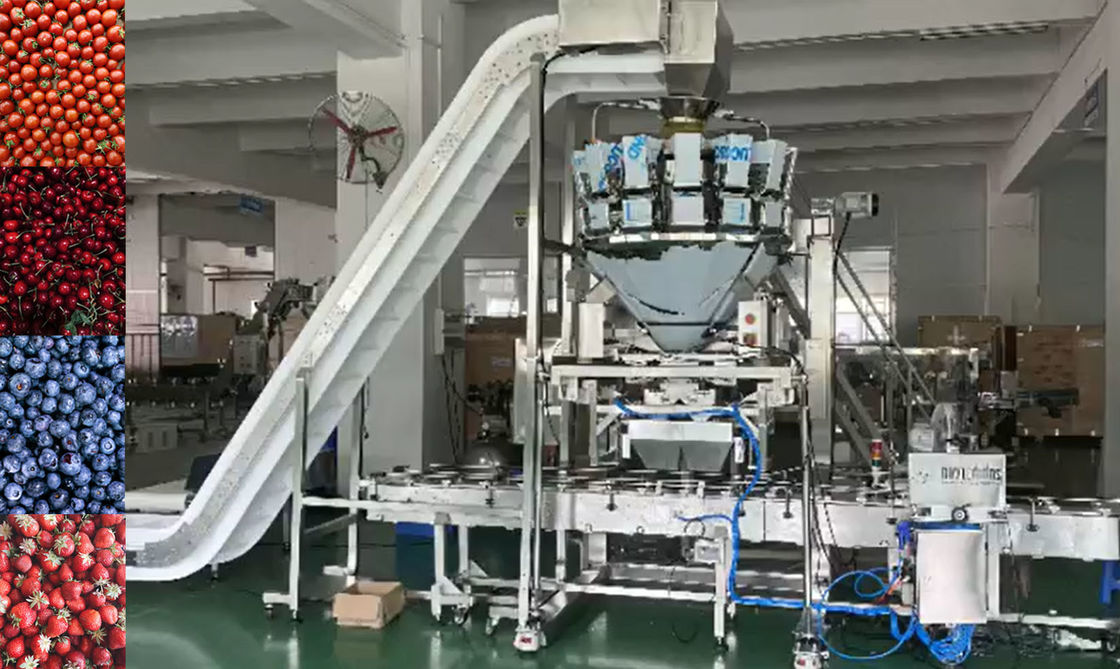 SUS304 Multihead Weigher Automatyczny system ważenia i pakowania do mrożonych owoców wiśni w pudełkach