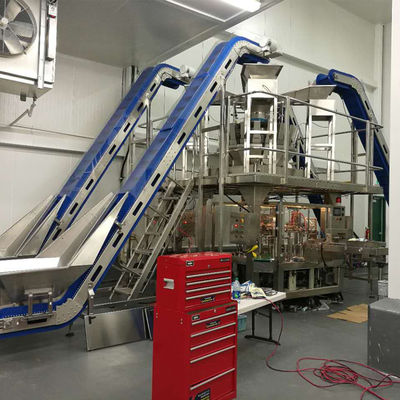 ISO 9001 1,5KW Wielogłowicowa maszyna do pakowania na wagę Doypack