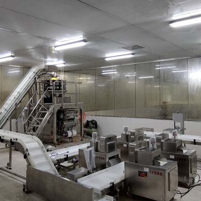 System sortowania taśm przenośnikowych ISO9001