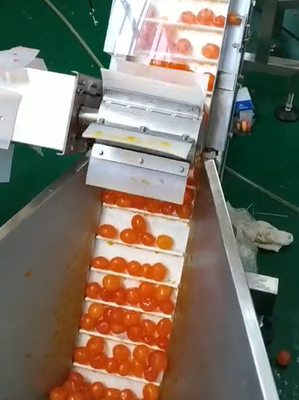Multi Weigher Maszyna do pakowania próżniowego Projekt sortowania i przenoszenia żółtka