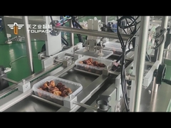 Date Palm Weighing& Cartoning System