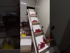 Automatyczny system ważenia i transportu dla kiełbas o podłużnym kształcie, hot dogów