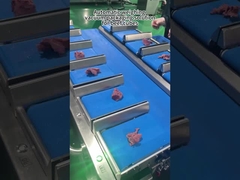 Maszyna do pakowania wielokrotnie ważąca mięso