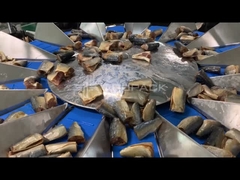 TOUPACK 14 głowica wielokrotna wagarka do ważenia ryb