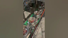 Linia do pakowania mieszanki karmy dla papug z 32-głowicową wagą wielogłowicową