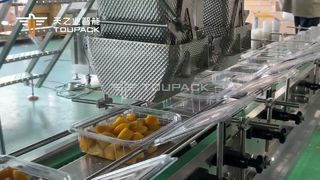 Automatyczna linia do ważenia i pakowania pokrojonego w kostkę mango | 50 pudełek/min | TOUPAK